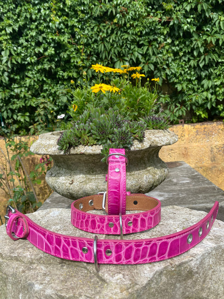 Hundehalsband Bellino, Pink