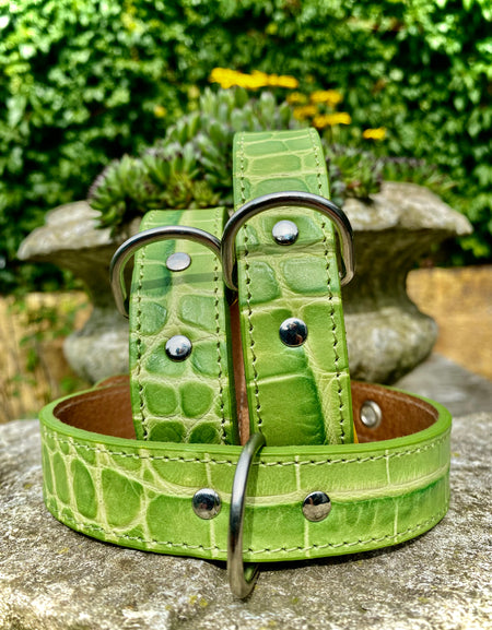 Hundehalsband Bellino, Grün