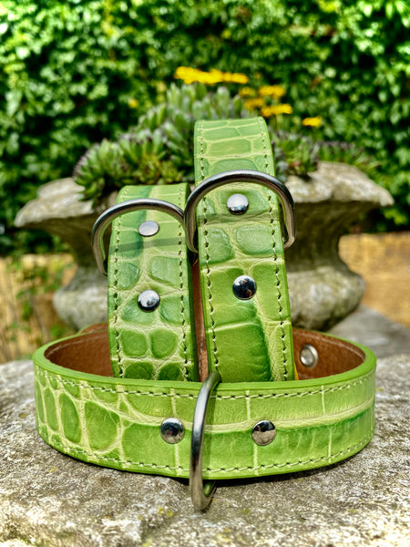 Hundehalsband Bellino, Grün