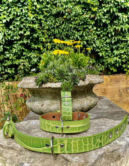 Hundehalsband Bellino, Grün