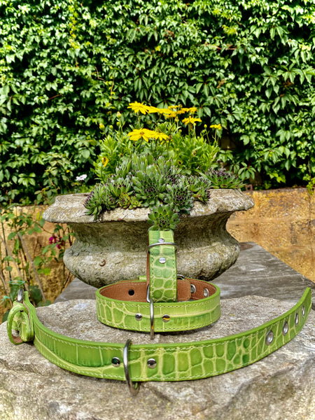 Hundehalsband Bellino, Grün