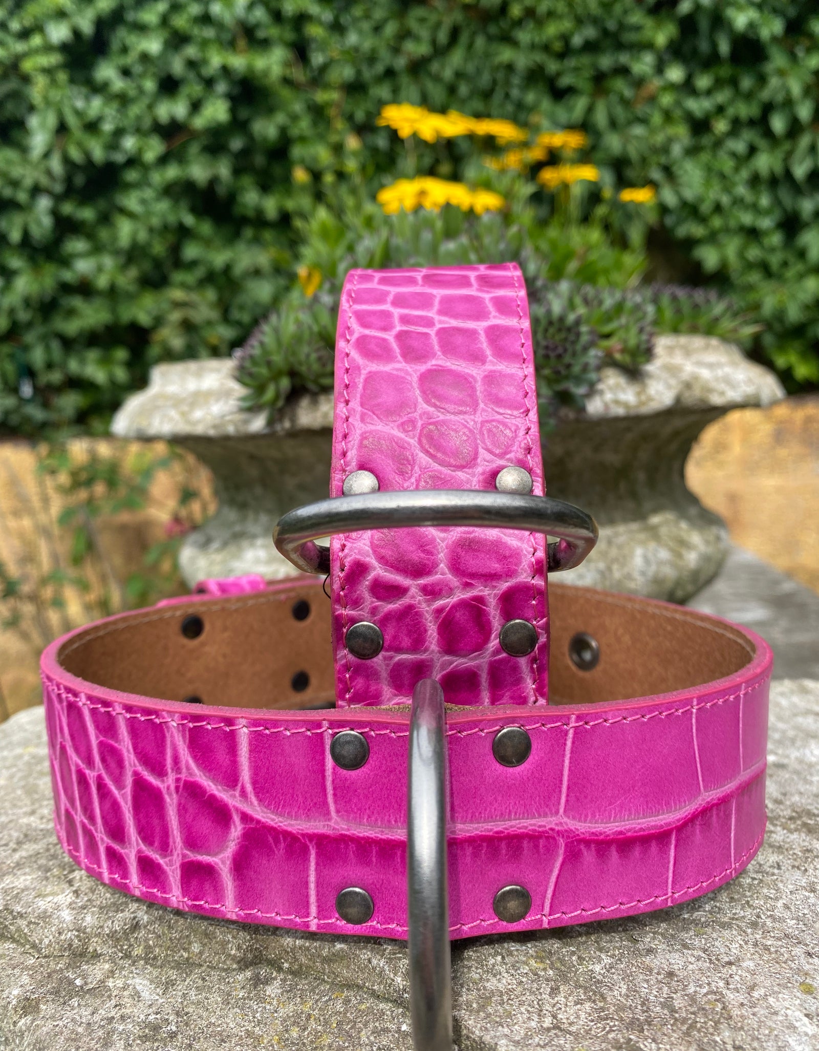 Hundehalsband Ettore, Pink