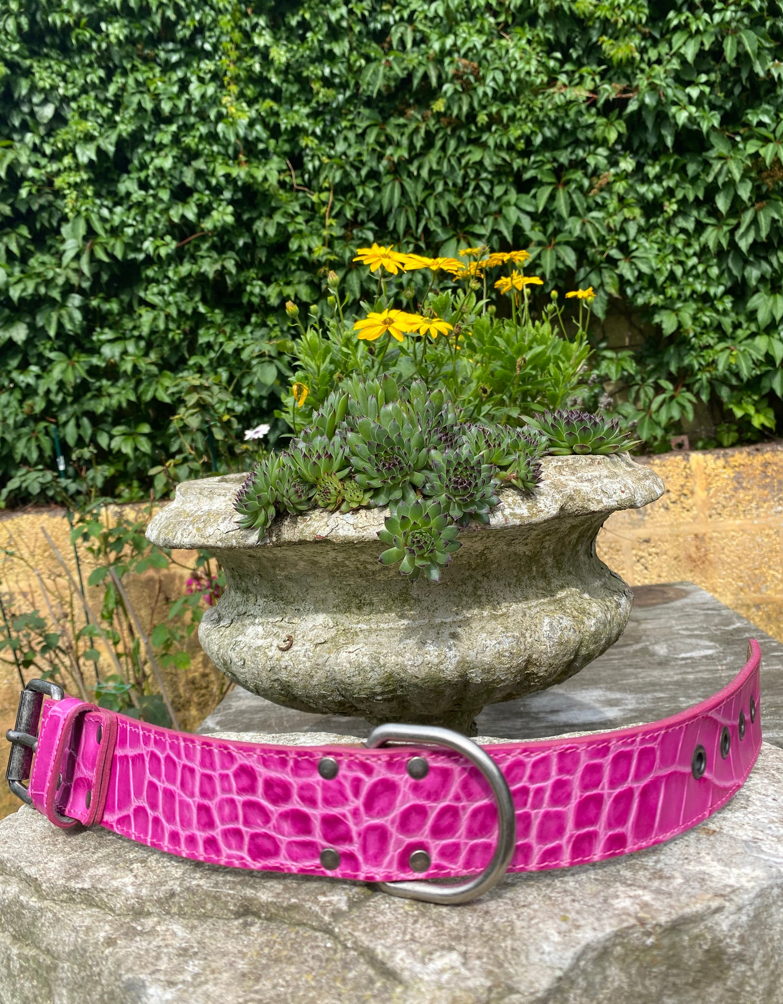 Hundehalsband Ettore, Pink