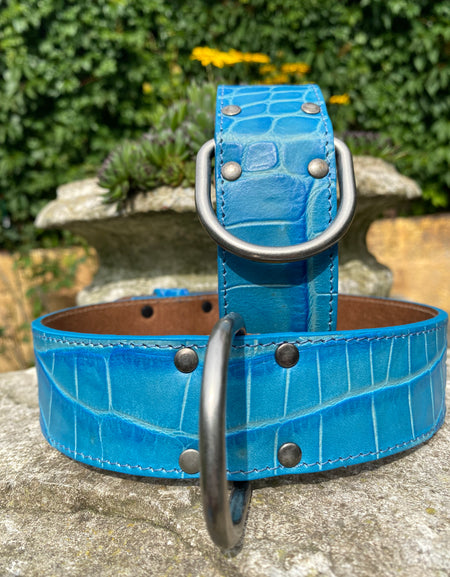 Hundehalsband Ettore, Blau