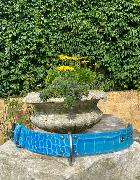 Hundehalsband Ettore, Blau