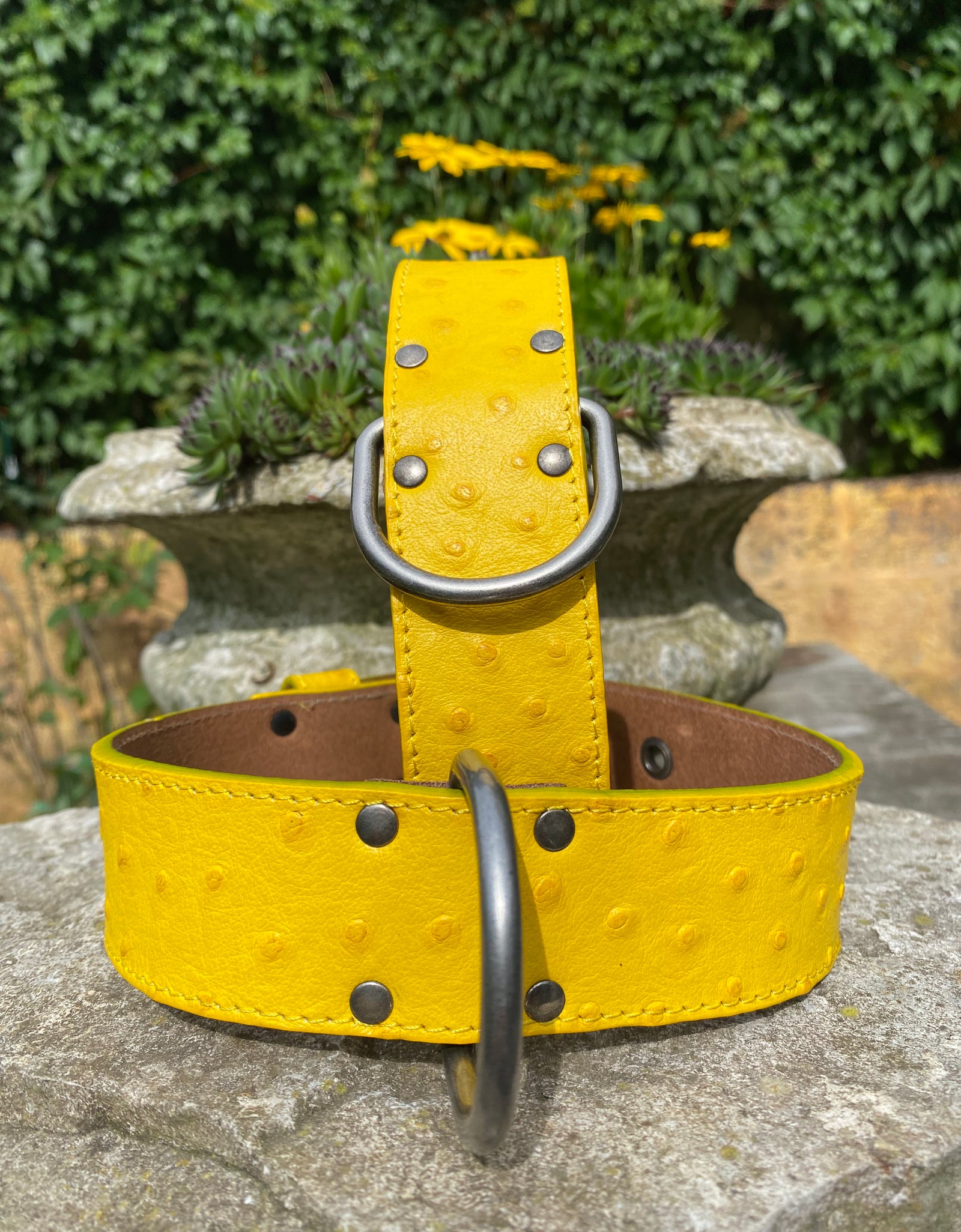 Hundehalsband Ettore, Gelb