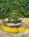 Translation missing: de.sections.featured_product.gallery_thumbnail_alt
