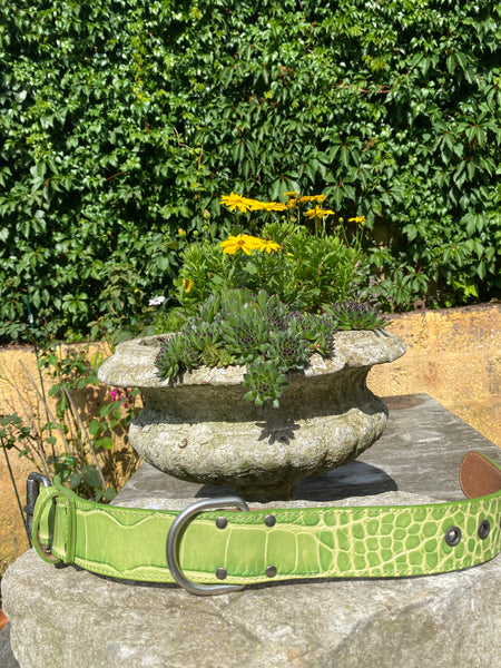 Hundehalsband Ettore, Grün