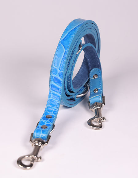Hundeleine Ettore Blau