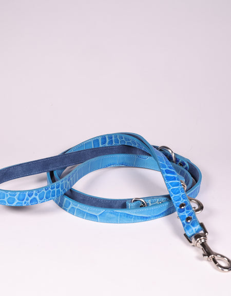 Hundeleine Ettore Blau