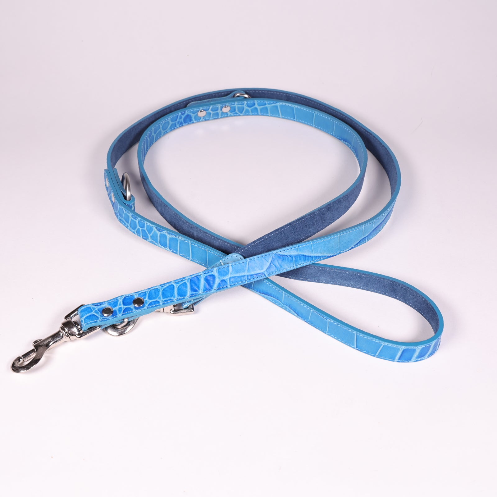 Hundeleine Ettore Blau