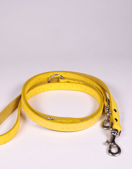 Hundeleine Ettore Gelb