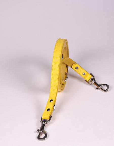 Hundeleine Ettore Gelb