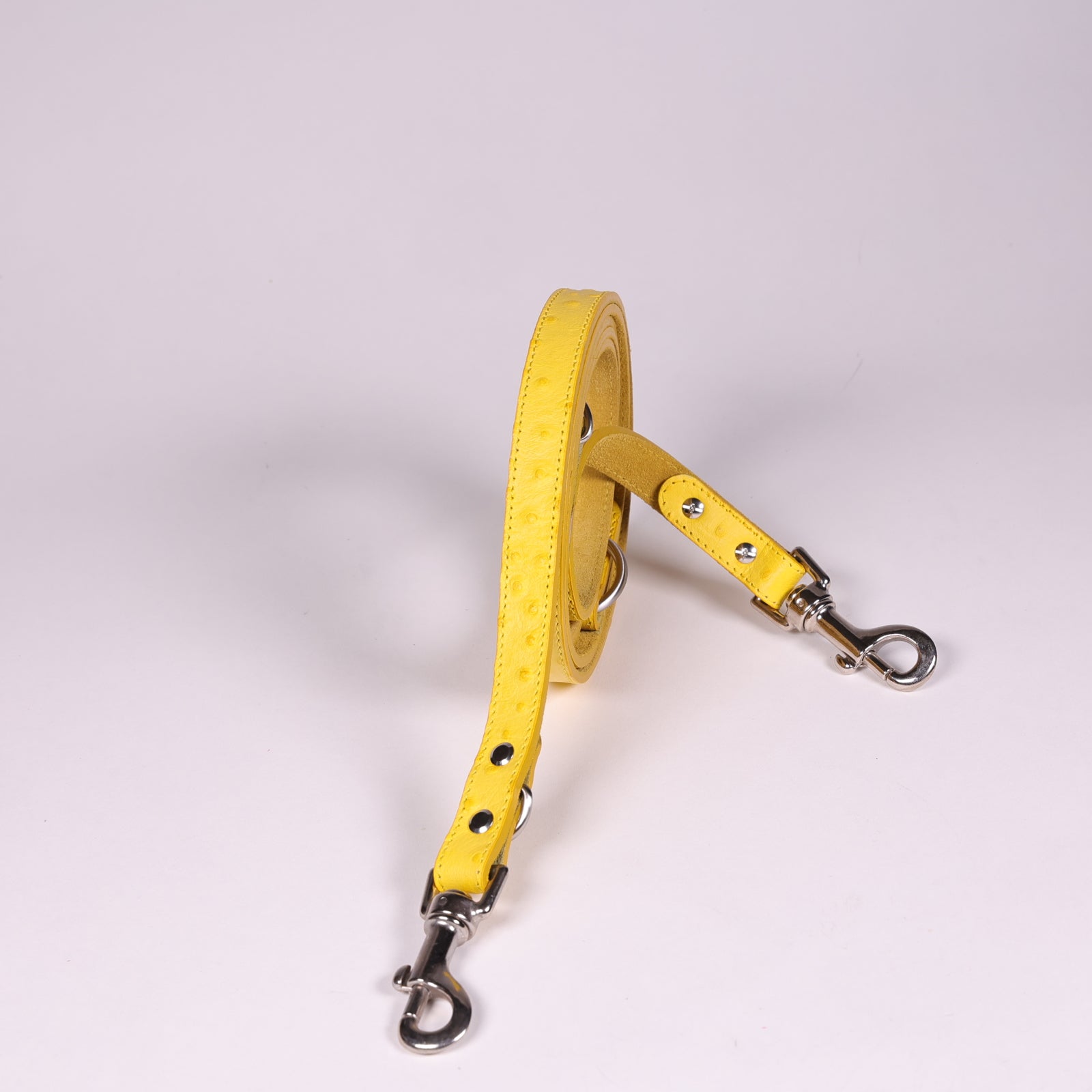 Hundeleine Ettore Gelb