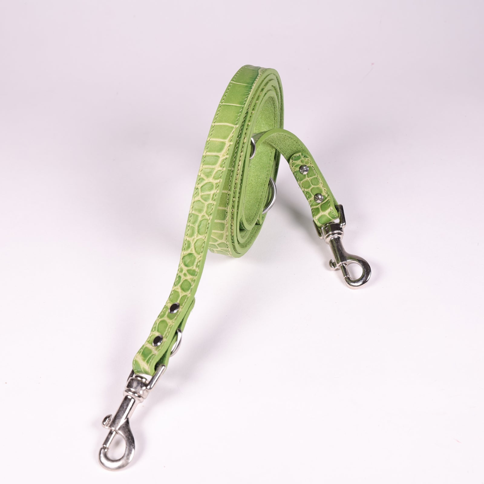 Hundeleine Ettore Grün