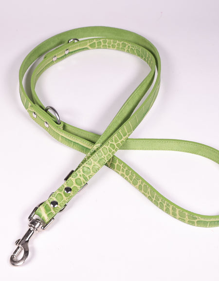 Hundeleine Ettore Grün