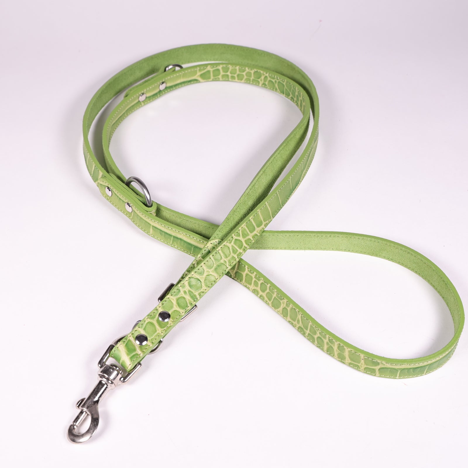 Hundeleine Ettore Grün