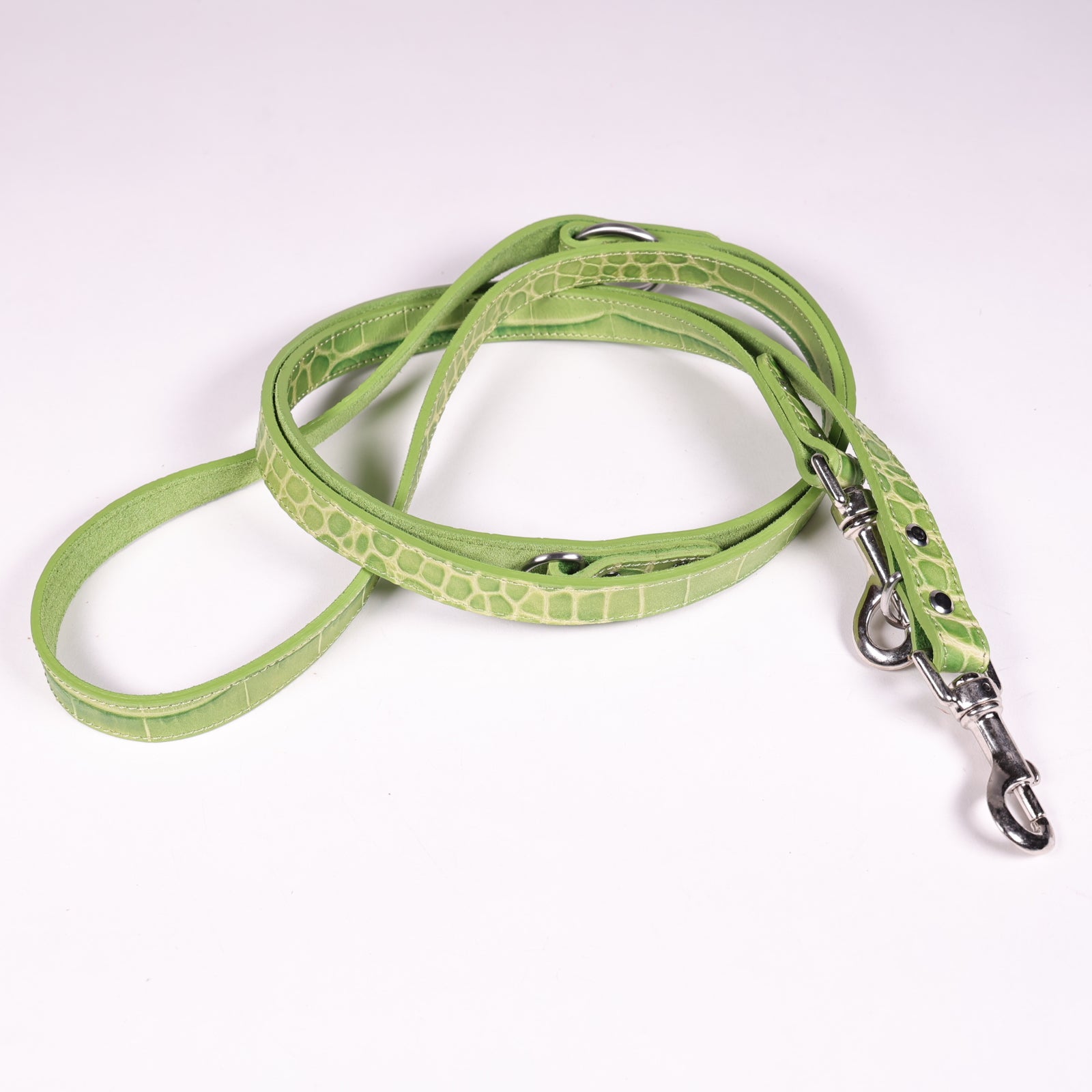 Hundeleine Ettore Grün
