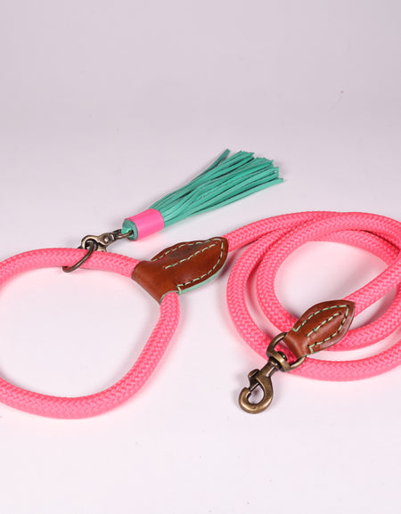 Hundeleine Sugarbabe