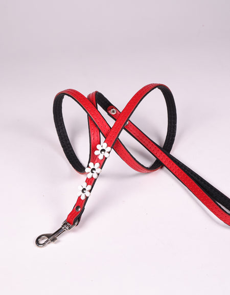 Hundeleine La Fleurette Blanc