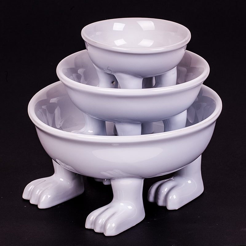 Dog Bowl by Dylan Kendall  L