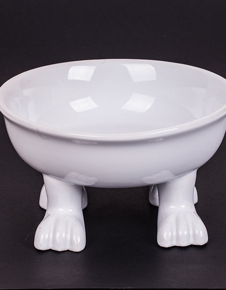 Dog Bowl by Dylan Kendall  L