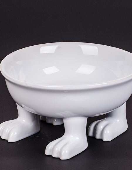 Dog Bowl by Dylan Kendall  L