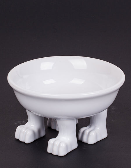 Dog Bowl by Dylan Kendall  M