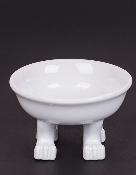 Dog Bowl by Dylan Kendall  M